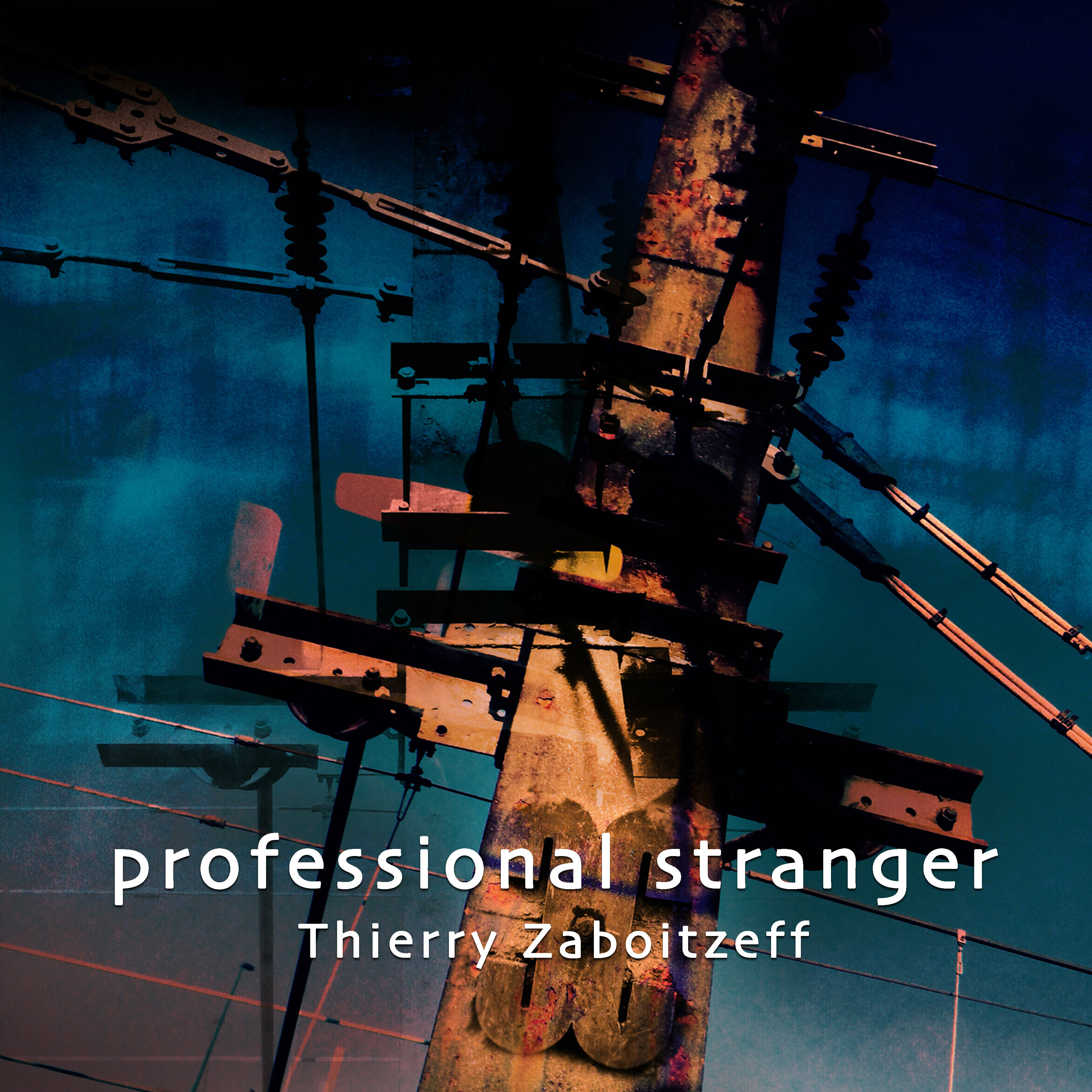 professional stranger cd